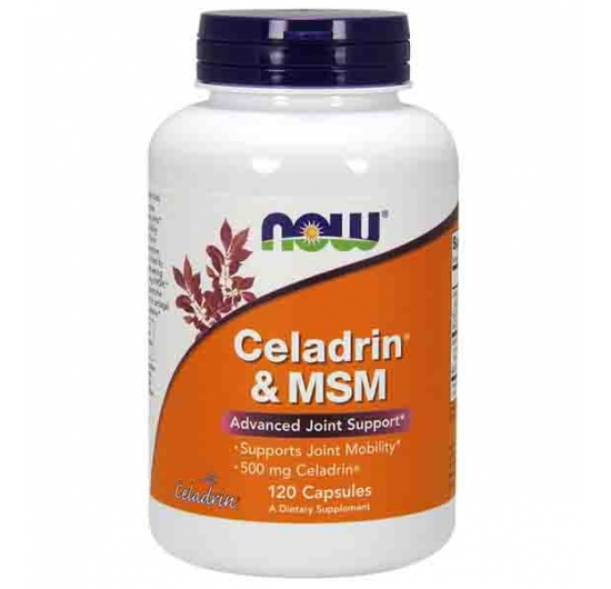 Celadrin® & MSM 500 mg Capsules