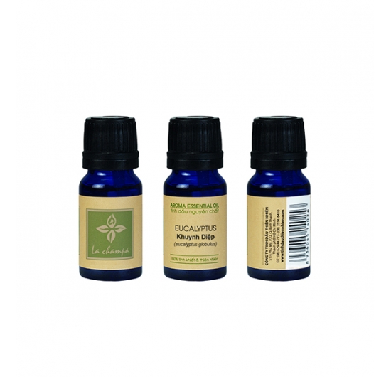 Khuynh Diệp Eucalyptus Globulus Oil 10ml